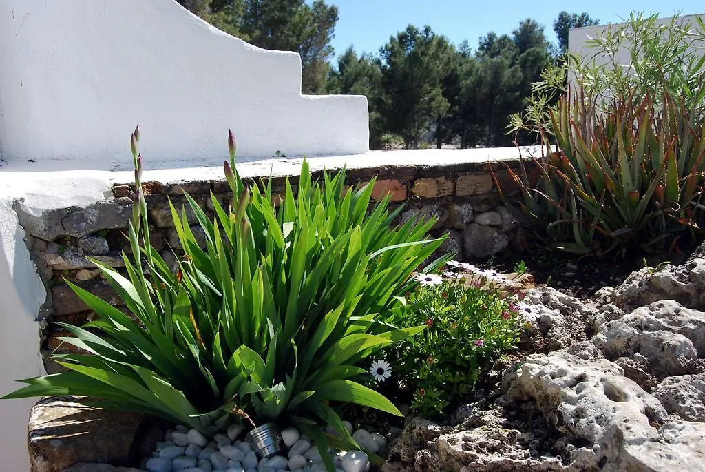 Villa La Roca - A Fusion Of Modern And Typical Andalucian Architecture Montecorto 0*,
